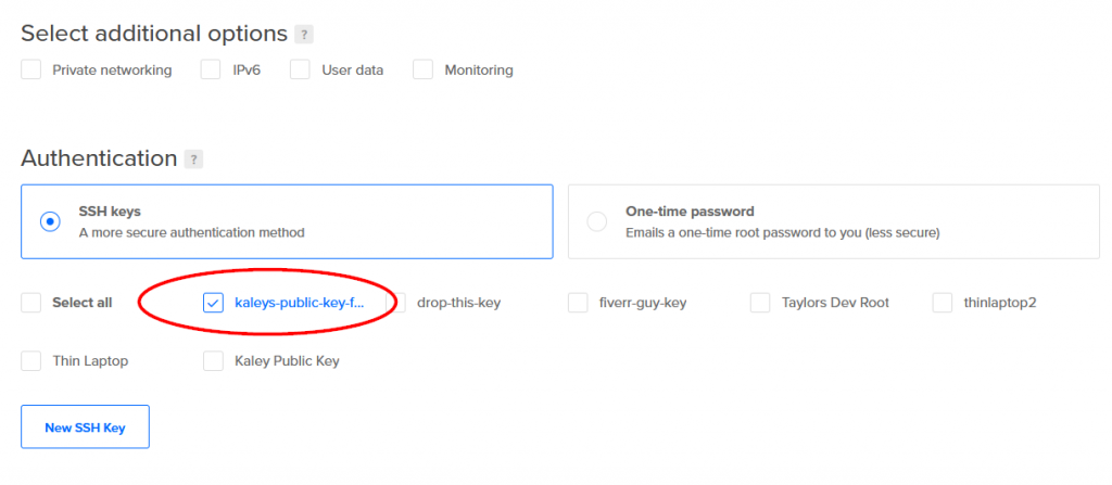 Ensure that the public key you just added is selected